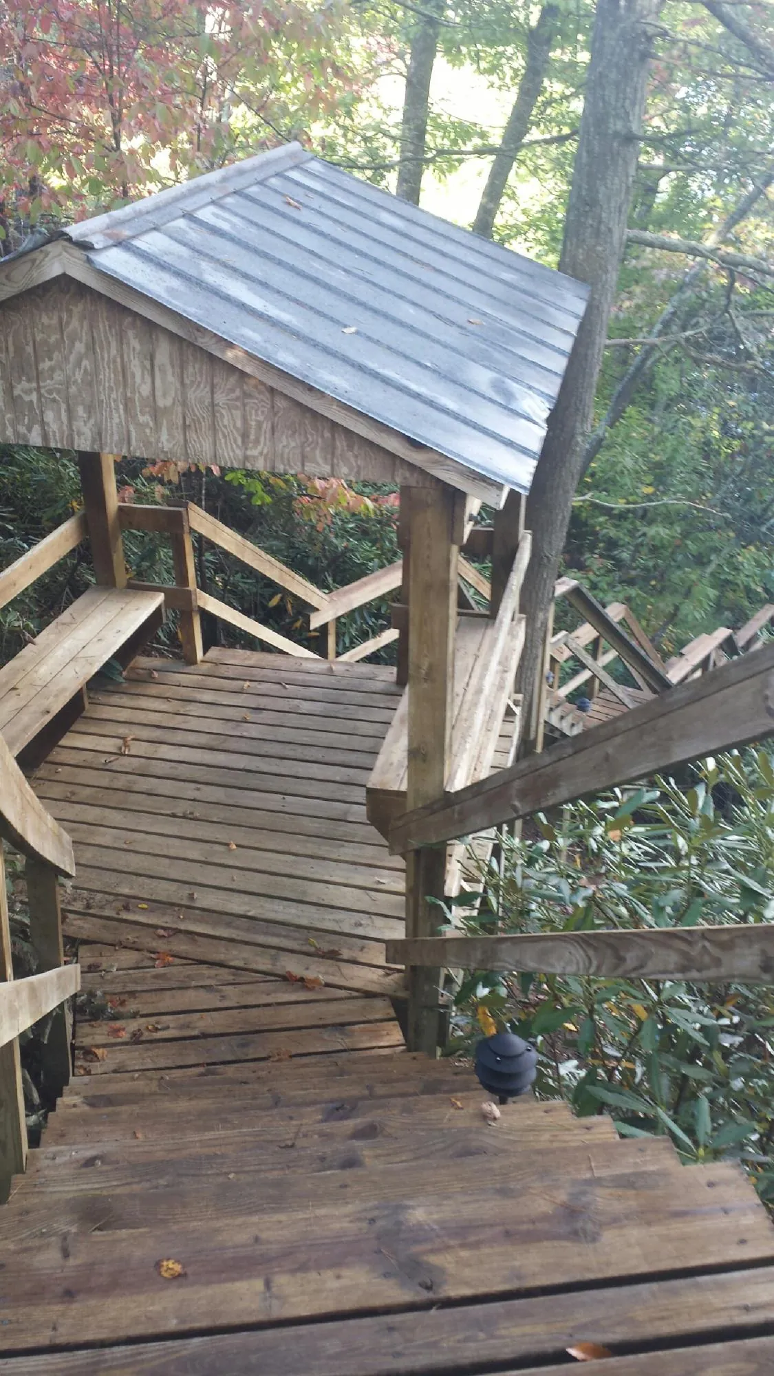 Metal roofed shelter over wooden steps on a wooded walkway — Skylight Repair & Installation work by our crew in Hendrix