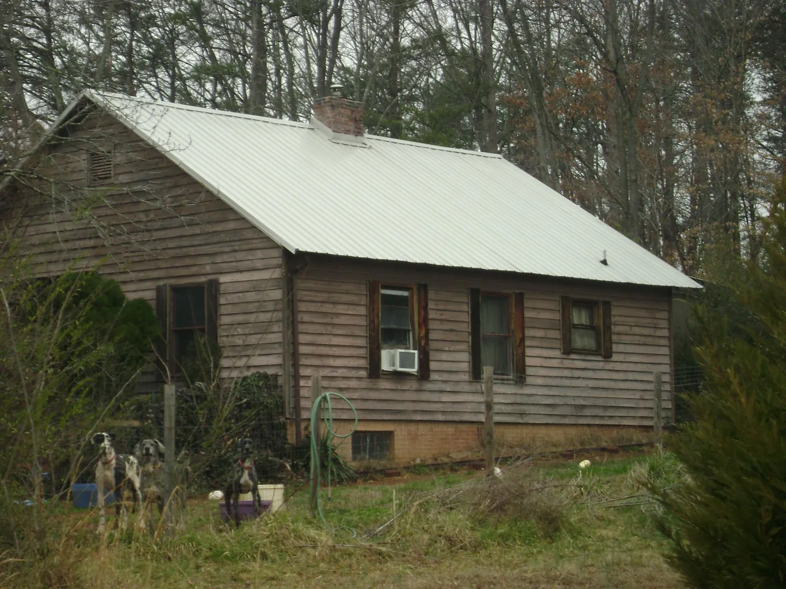 White metal roof on an old wood sided farmhouse, from a Metal Roof Installation job in Hendrix